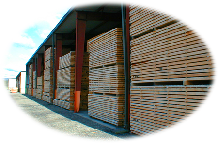 Lumber Stacks